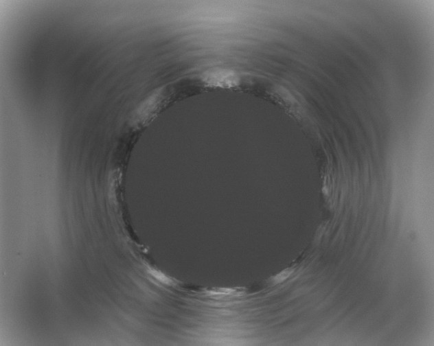 X0000066120229200603241618