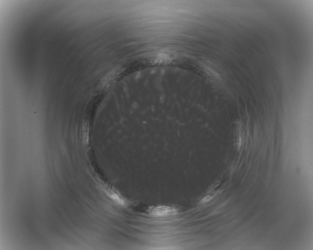 X0000066120230200603241618