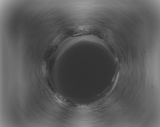 X0000066120231200603241618