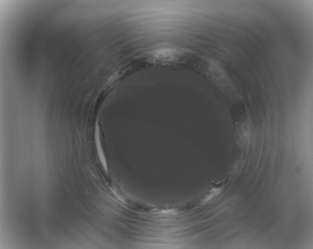 X0000066120232200603241618