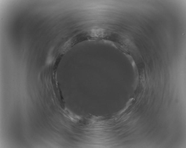 X0000066120233200603241618