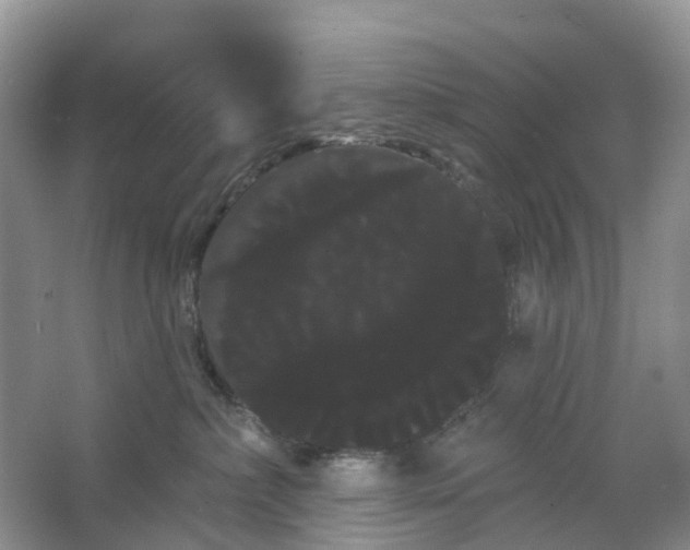 X0000066120236200603241618