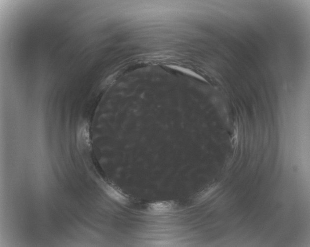 X0000066120238200603241618