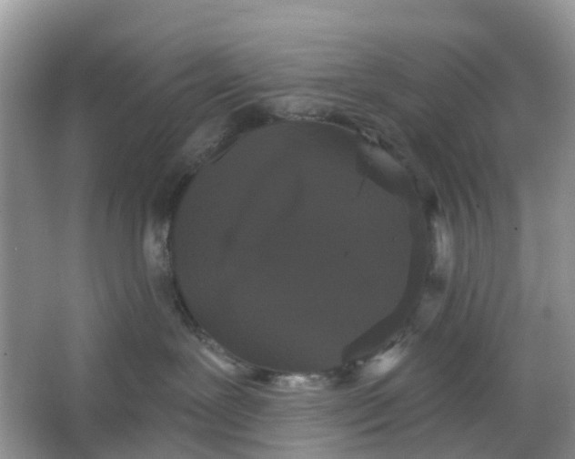 X0000066120239200603241618