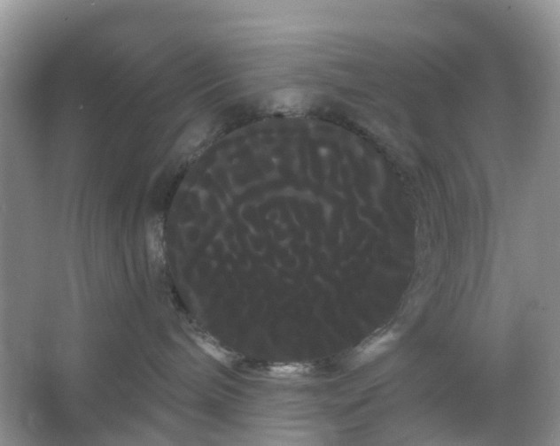 X0000066120240200603241618