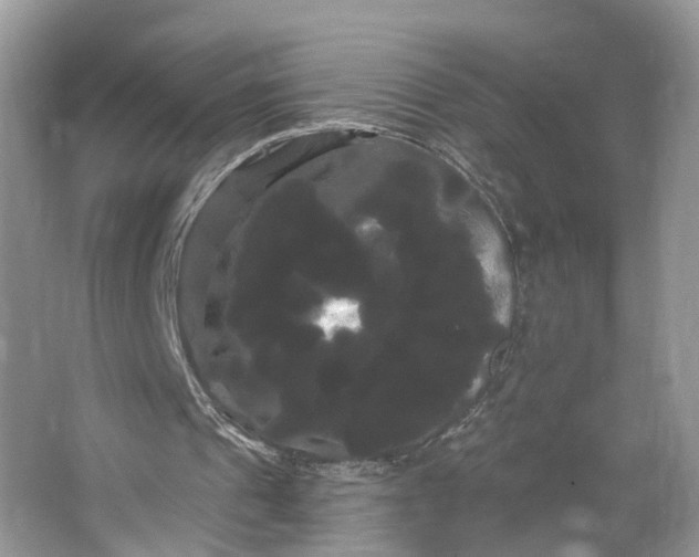 X0000066120241200603241617