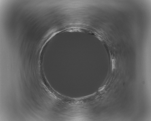 X0000066120243200603241617