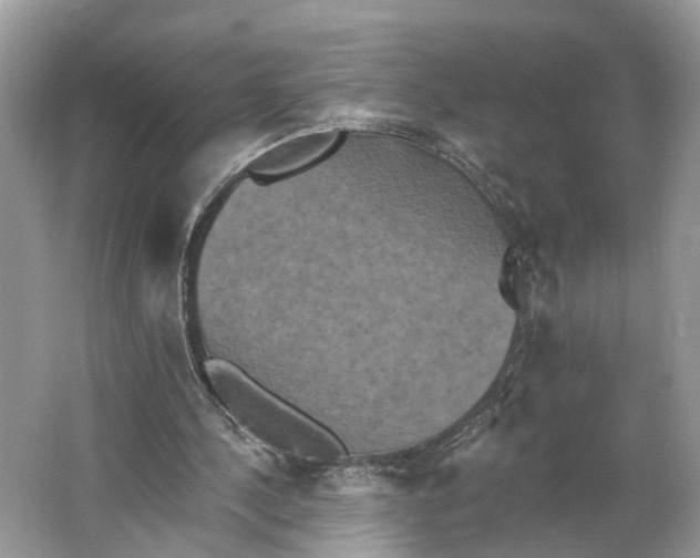 X0000066120244200603241617