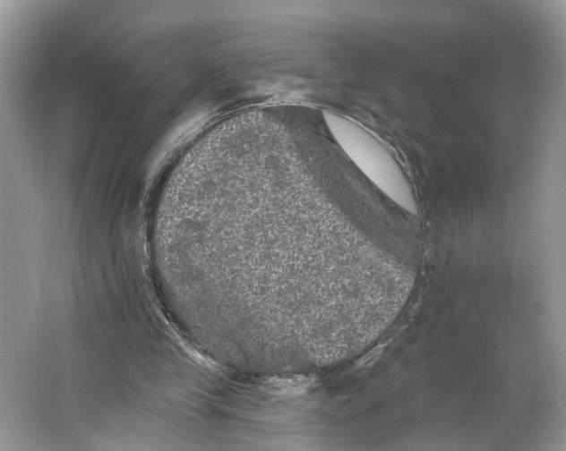 X0000066120245200603241617