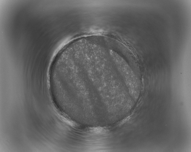 X0000066120246200603241617