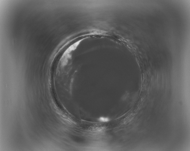 X0000066120247200603241617