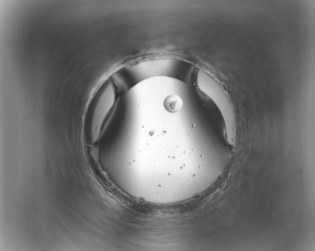 X0000066120248200603241617