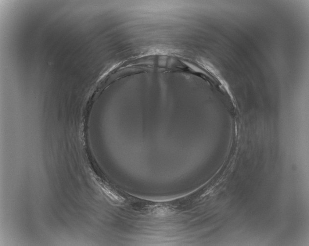 X0000066120249200603241617