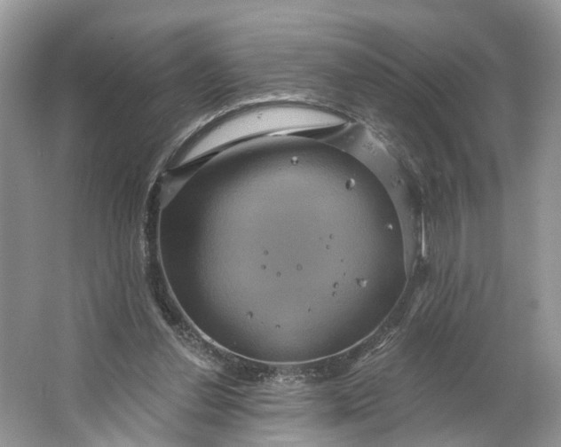 X0000066120252200603241617