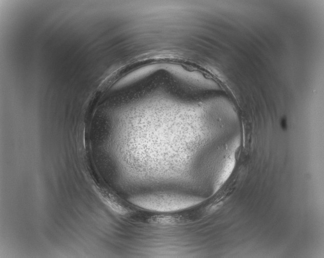 X0000066120253200603241617