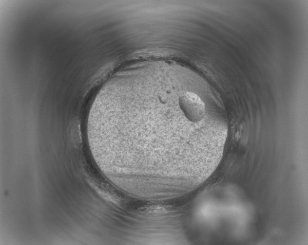 X0000066120254200603241617