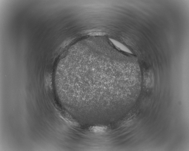 X0000066120255200603241618