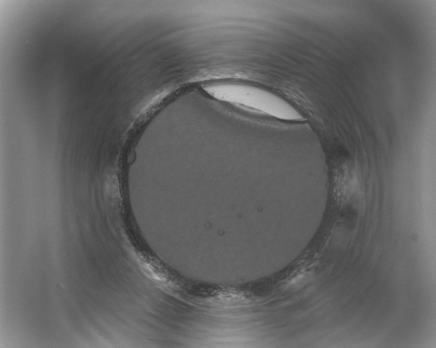 X0000066120256200603241618