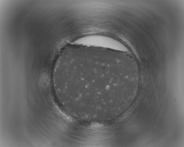 X0000066120257200603241618