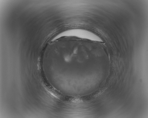 X0000066120258200603241618