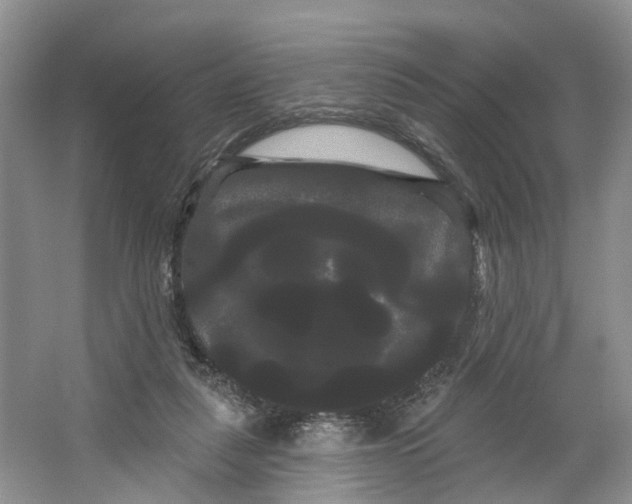 X0000066120259200603241618