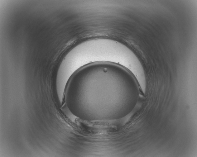 X0000066120260200603241618