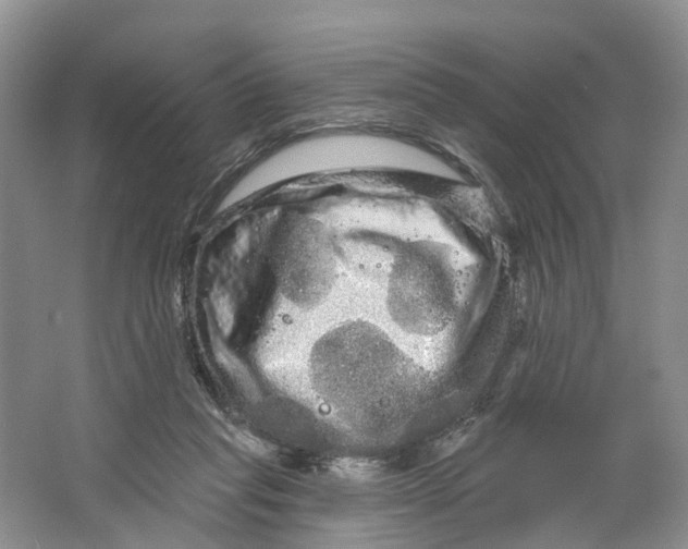 X0000066120261200603241618