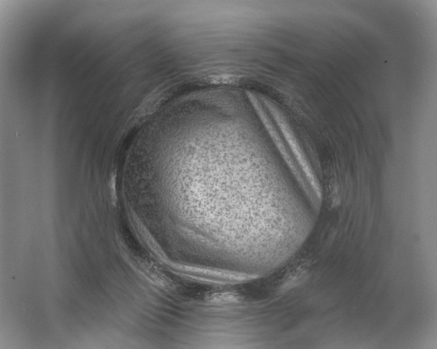 X0000066120262200603241618