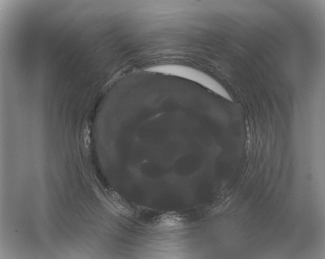 X0000066120263200603241618