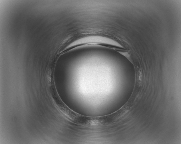 X0000066120264200603241618