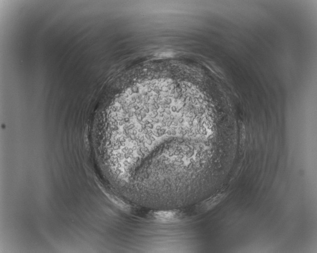 X0000066120265200603241618