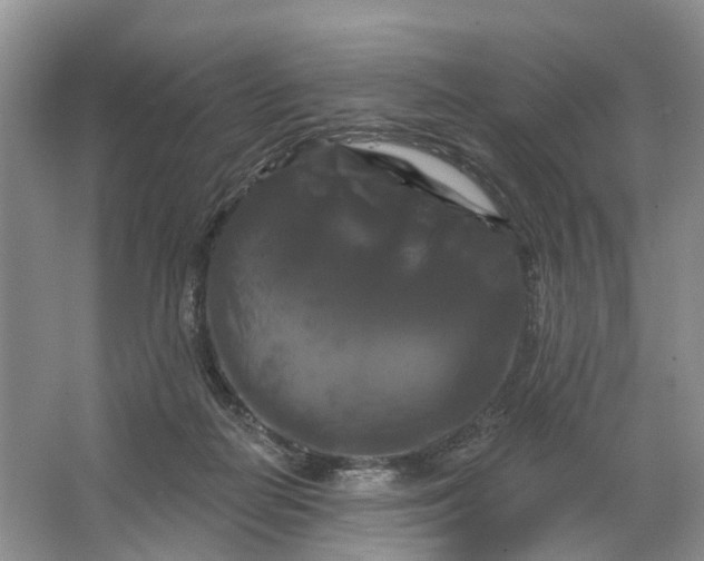 X0000066120266200603241618