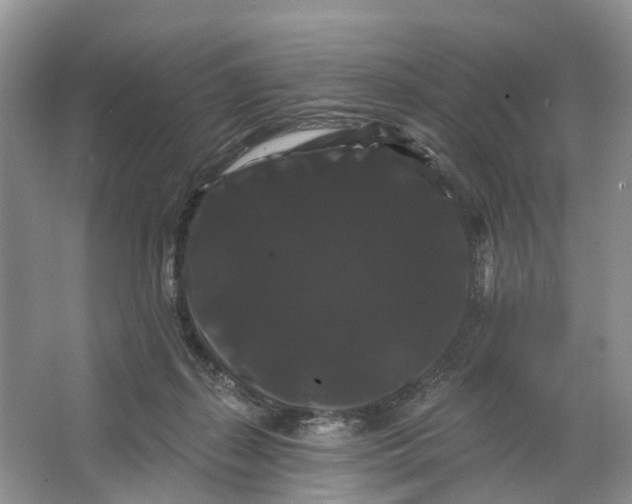 X0000066120267200603241618