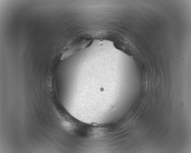 X0000066120268200603241618