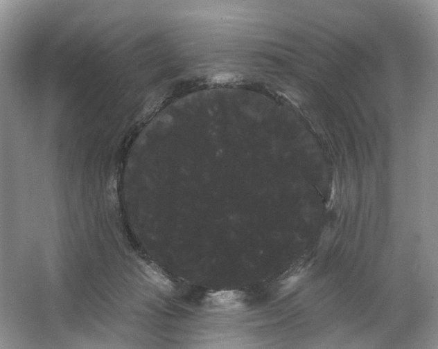 X0000066120269200603241618