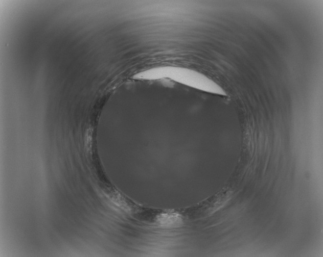 X0000066120271200603241618