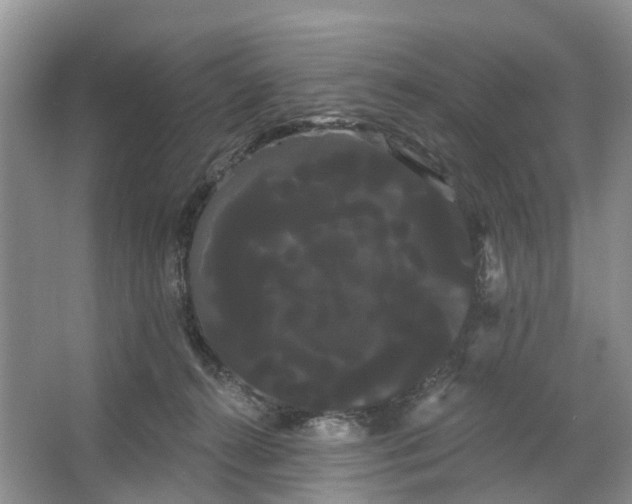 X0000066120272200603241618