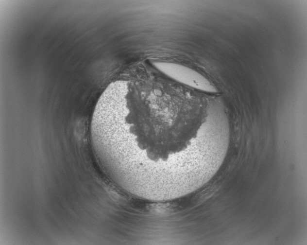 X0000066120273200603241618