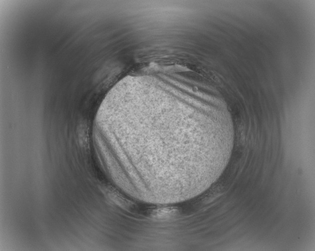 X0000066120274200603241618