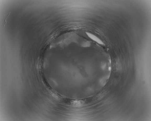 X0000066120277200603241618