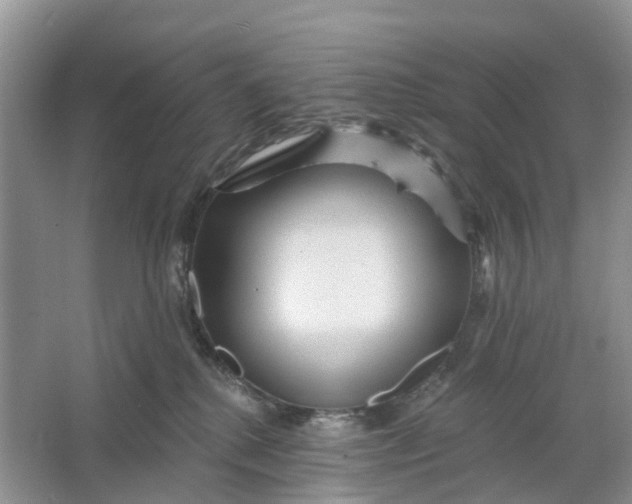 X0000066120280200603241618