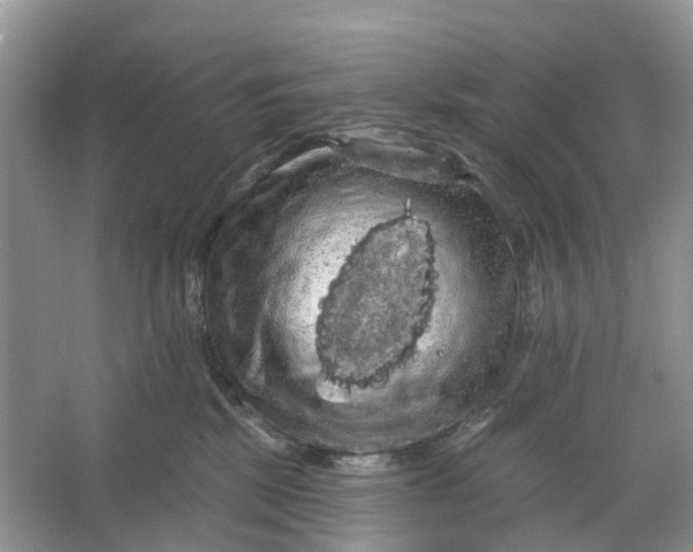 X0000066120281200603241618