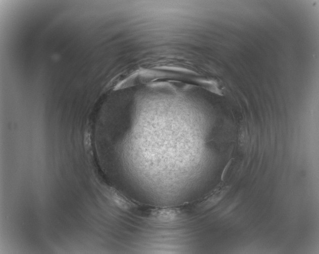 X0000066120282200603241618