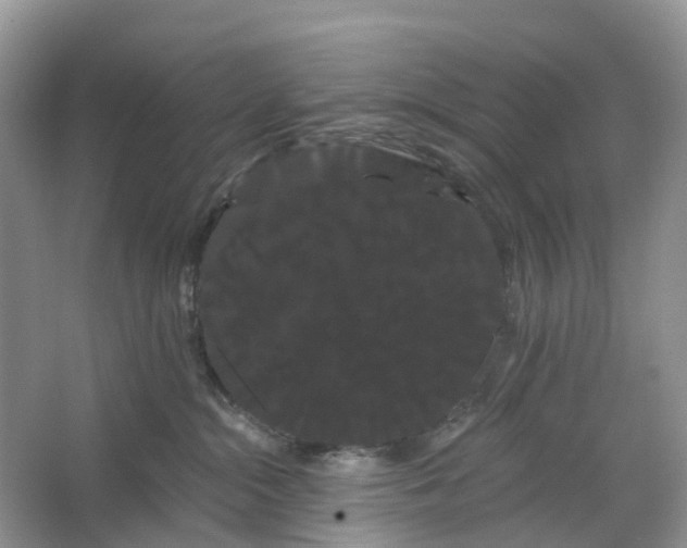 X0000066120284200603241618