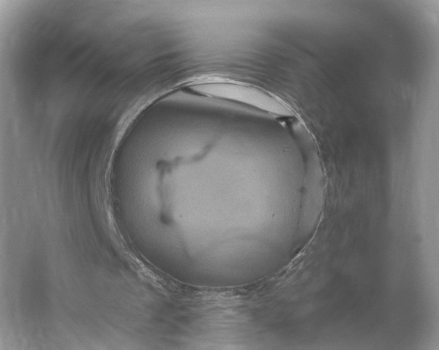 X0000066120289200603241617