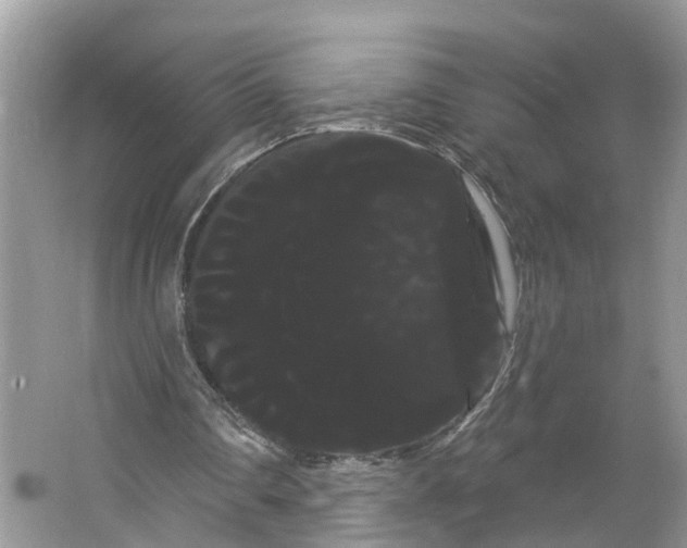 X0000066120290200603241617