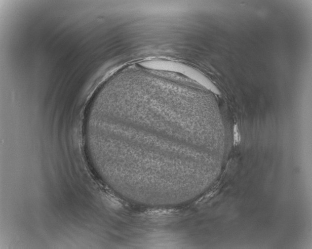 X0000066120291200603241617