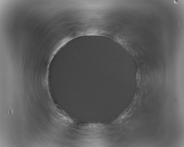 X0000066120292200603241617