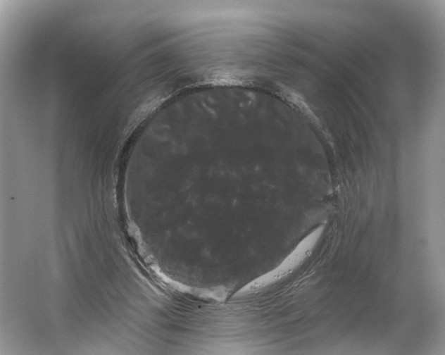 X0000066120299200603241617