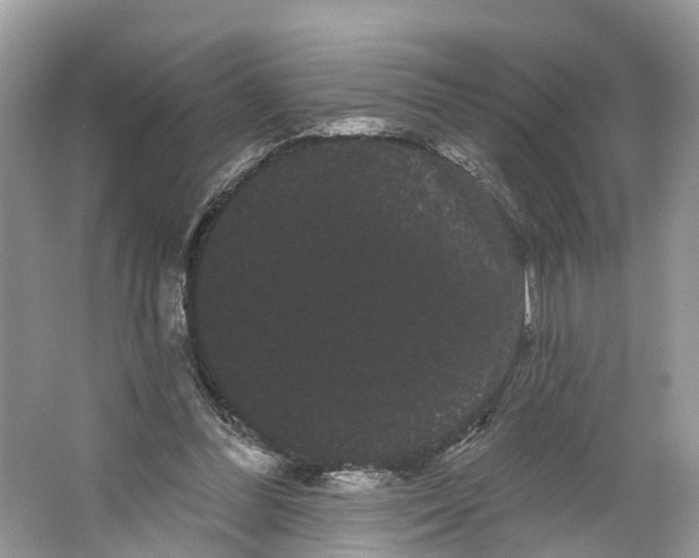 X0000066120300200603241617